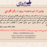 MBSaremAli HassanMallah