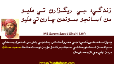 Sarem Saeed Sindhi