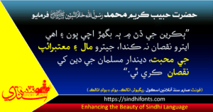 Sarem Sindh Online School