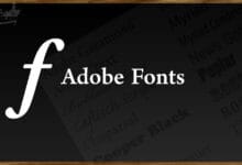 Adobe Fonts Typekit